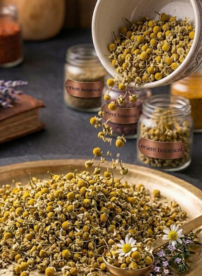 Wild Mountain Chamomile Flowers